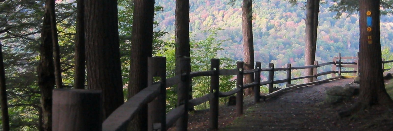 SelfRuling1's profile banner image
