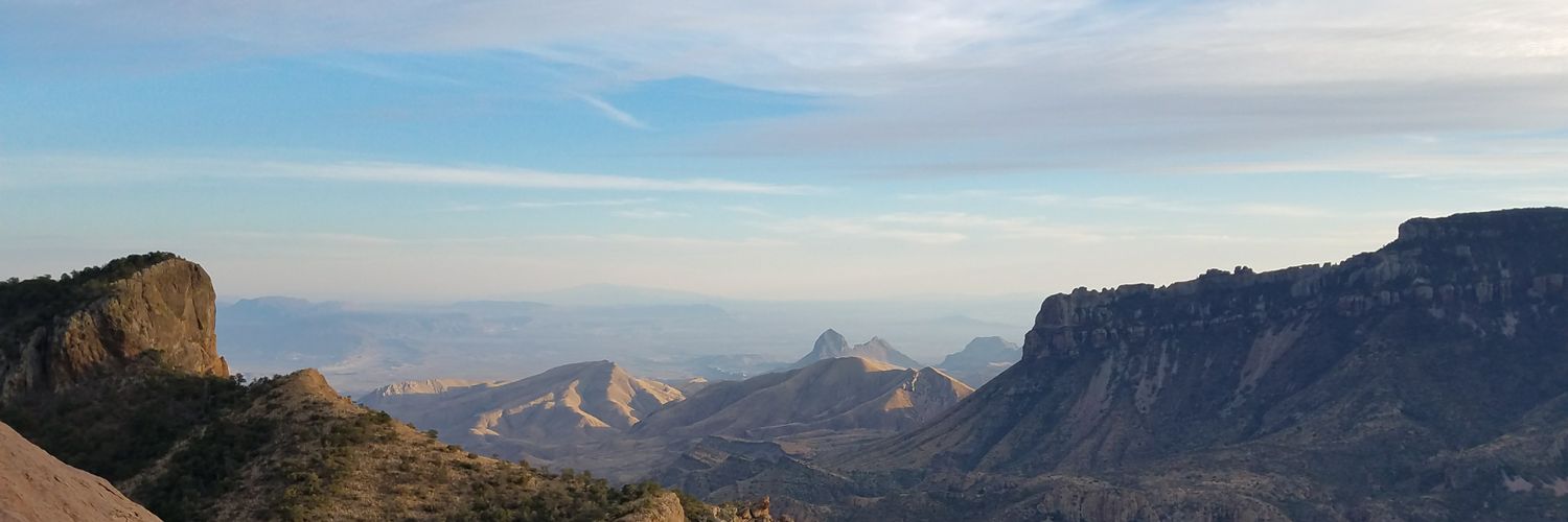 Courtney Tinch banner