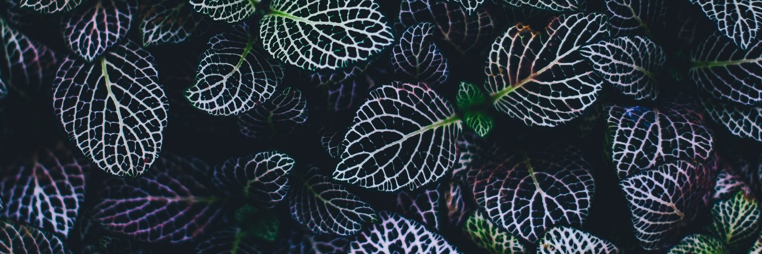 afventuresvc's profile banner image