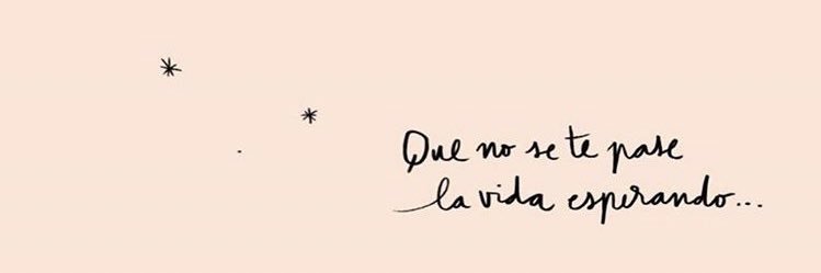 Fernanda Rdz R banner