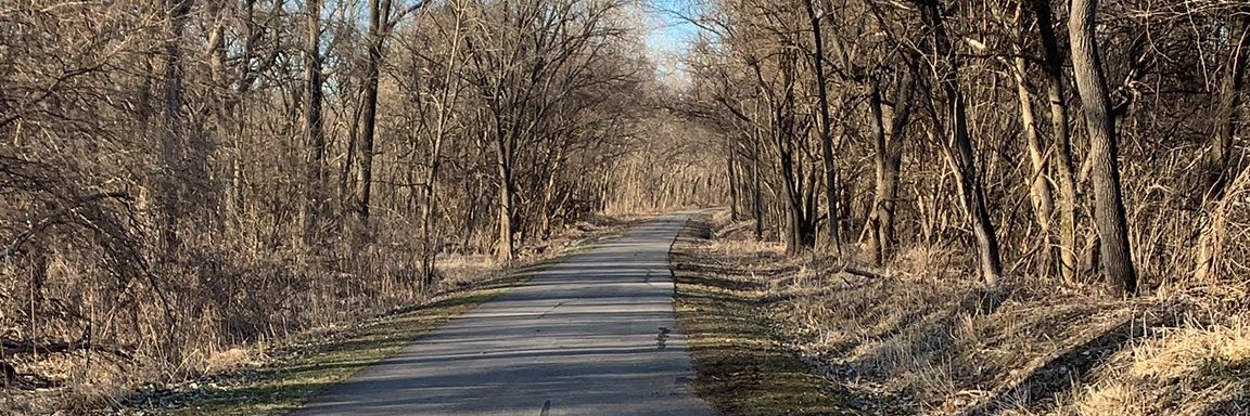 IHS Long Walk banner