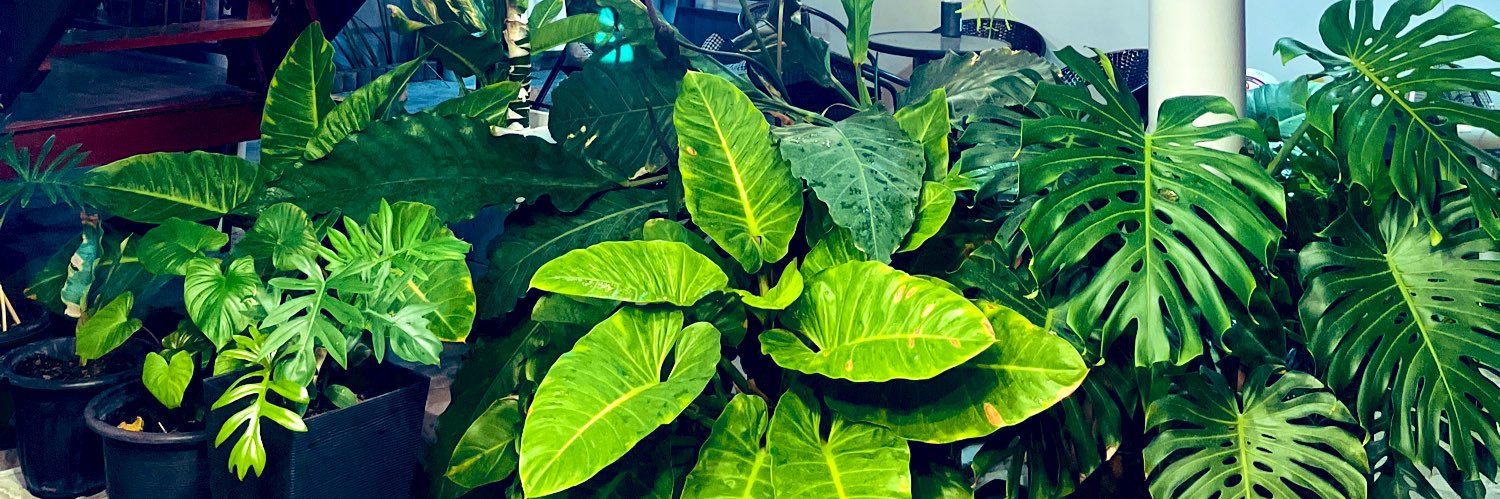 adybai50's profile banner image