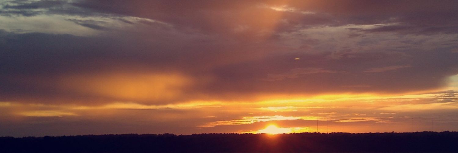 Bolt The Wolf • 🟧 • banner