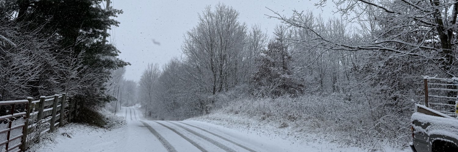 Cathy Kerton-Johnson banner