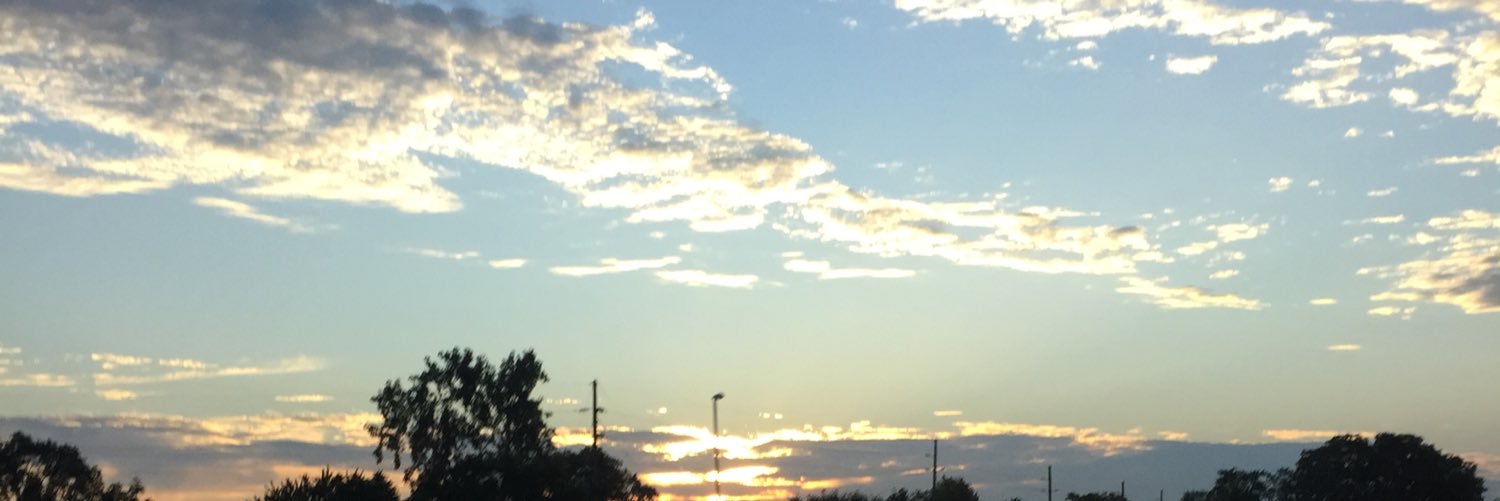 SchmittGrace's profile banner image