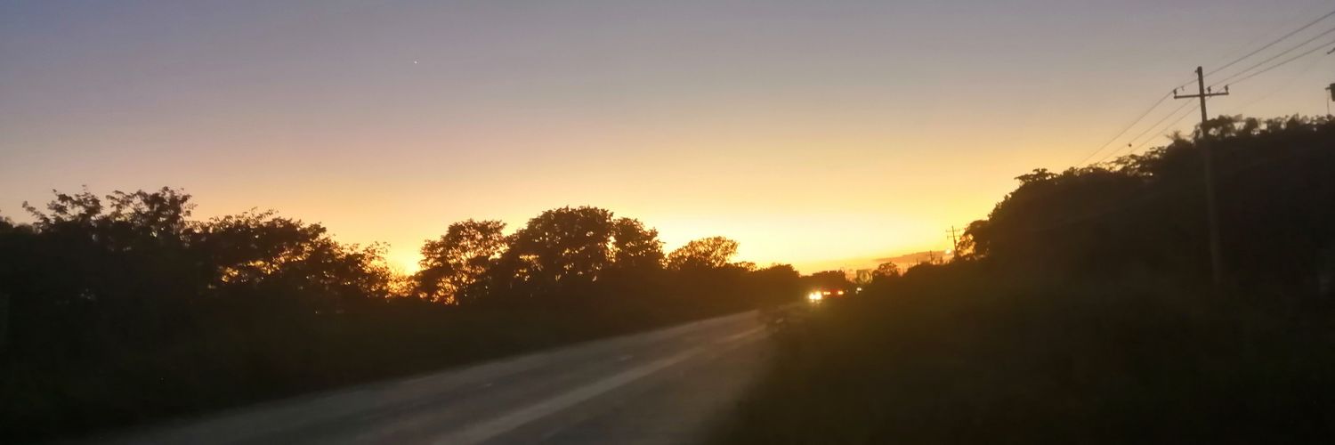 z_beets's profile banner image