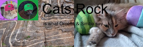GeologistsCat Profile Banner