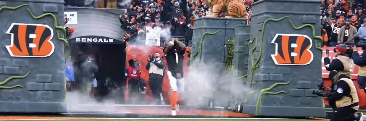 Leo Schachleiter banner