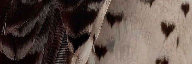 s3mvi's profile banner image