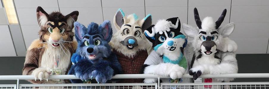 FurNest_Studio's profile banner image