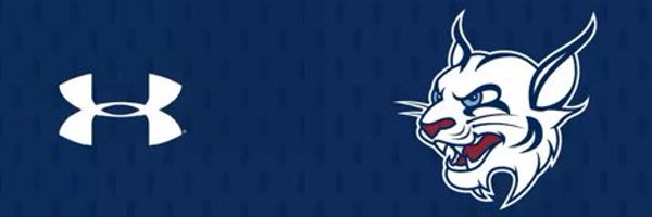 4Warinner Profile Banner
