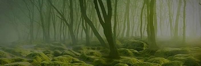 ZoltanFink's profile banner image