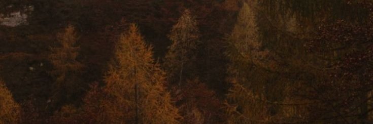 CyberlookI's profile banner image