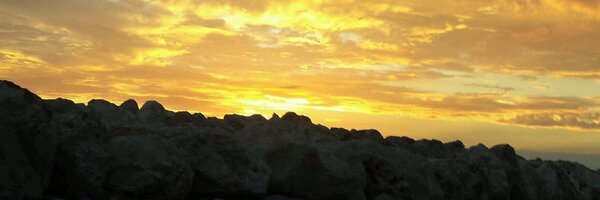 shell_champagne Profile Banner