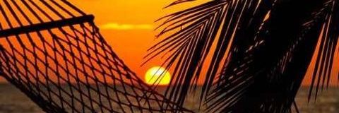 María C. Bello banner