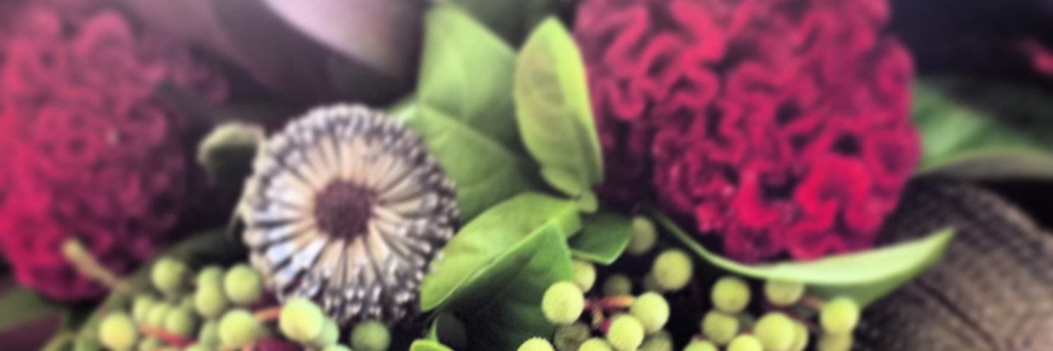 JaneyJRS's profile banner image