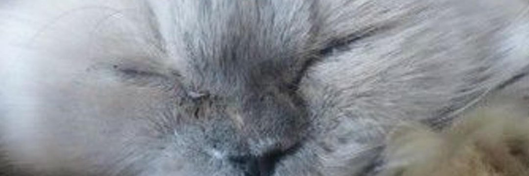 kk_lcifer's profile banner image