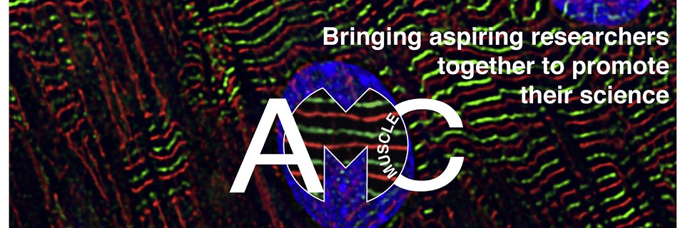 AMClub_Meeting's profile banner image