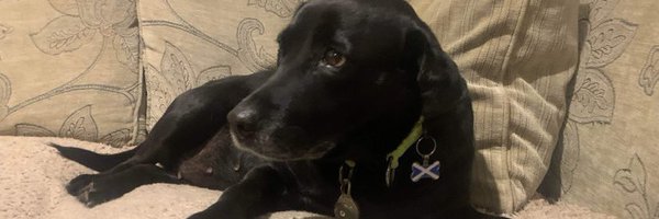 MyVoiceBrxndNew Profile Banner