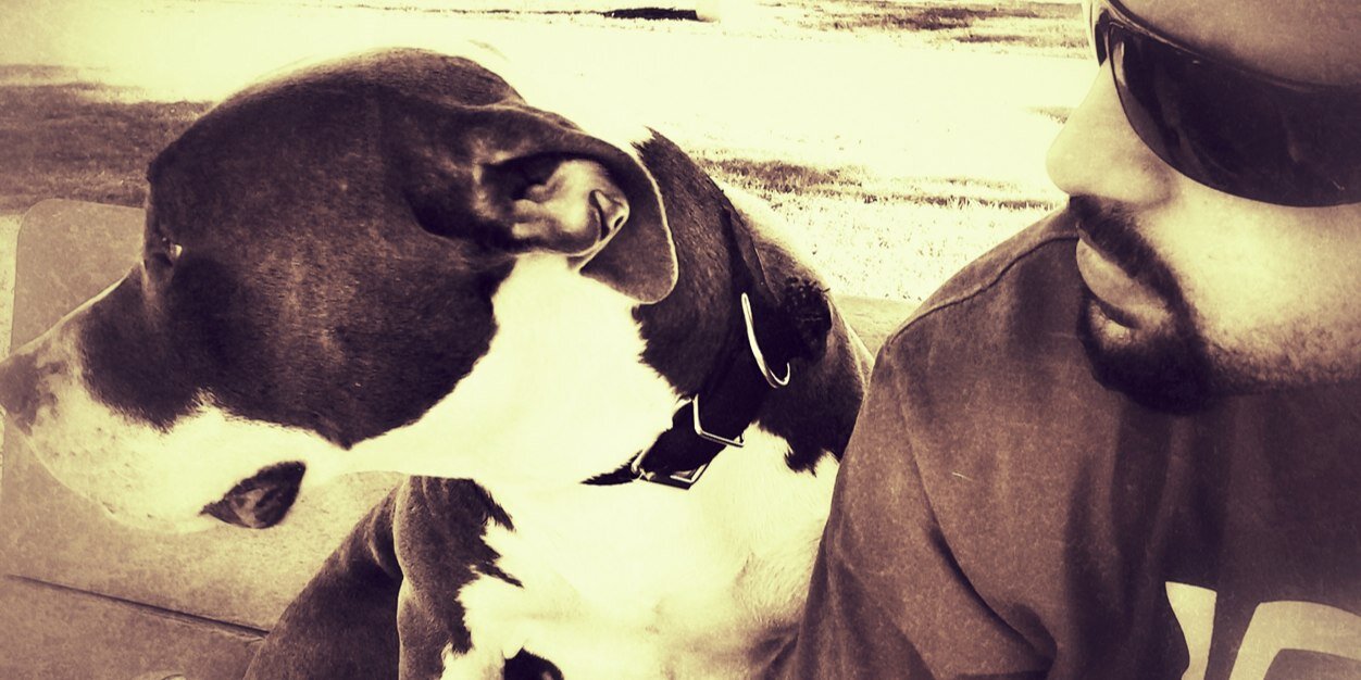 TwynnFellow's profile banner image