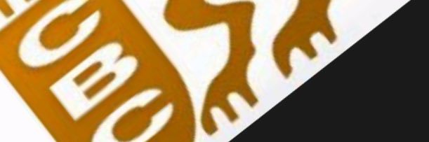 nlasser1's profile banner image