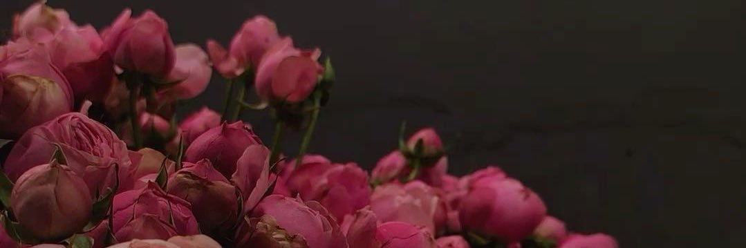 loveluci__'s profile banner image