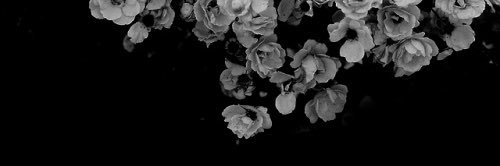 2_strawberries's profile banner image