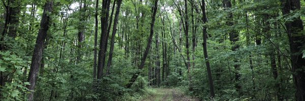 patrickdmarley Profile Banner