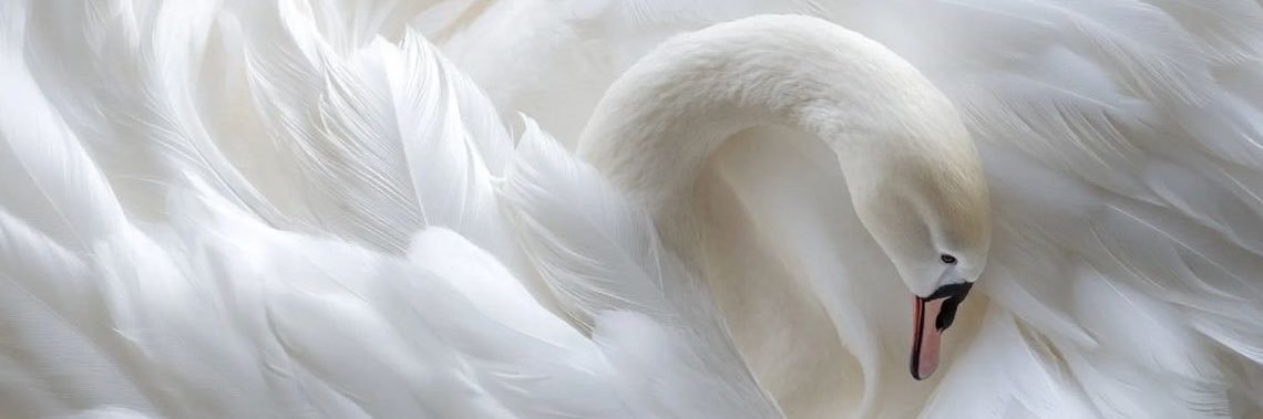 _________gh's profile banner image