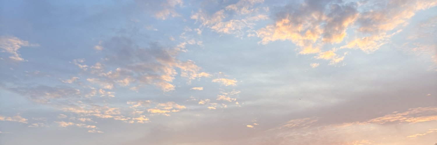 miaapadronn's profile banner image