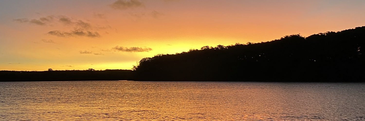 DiBurnan's profile banner image