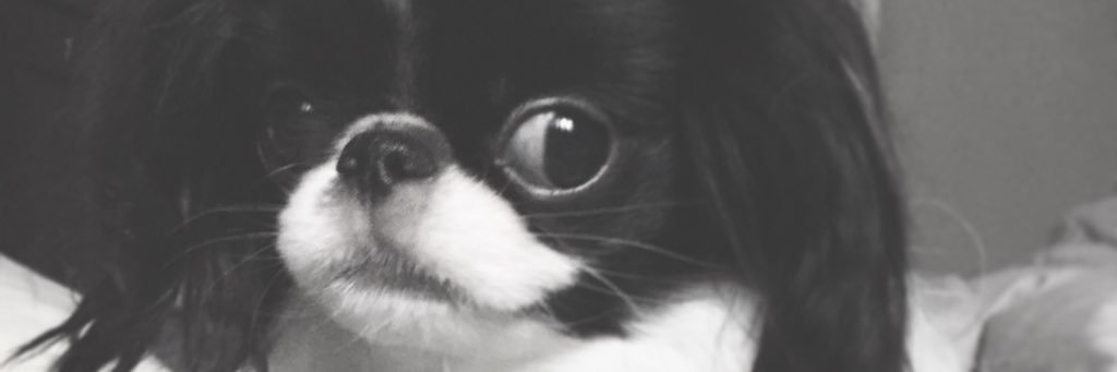 CWestDesign's profile banner image