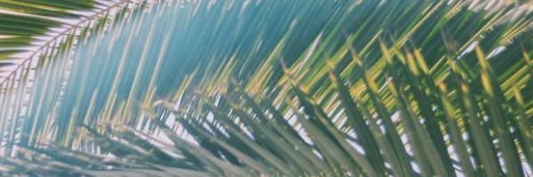 SCMDWL's profile banner image
