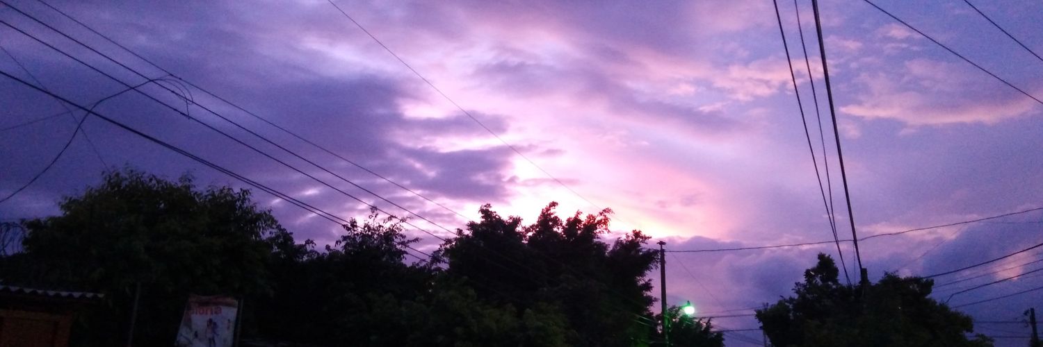 Luisito de la Virgen banner