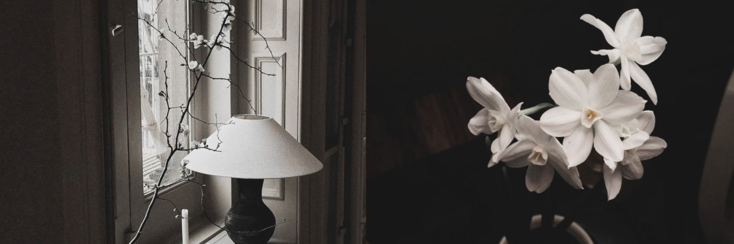 𝐄𝐥𝐥𝐞 banner