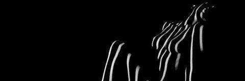 duby69's profile banner image