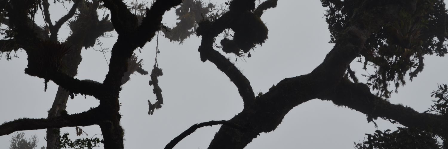 xlr8vacio's profile banner image