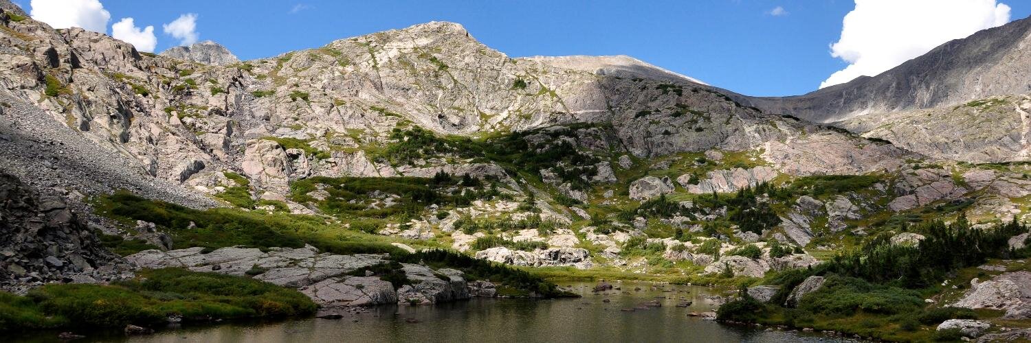 Michelle Ancell banner