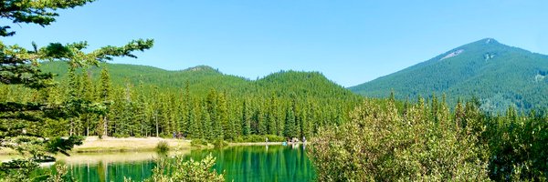 missusem Profile Banner