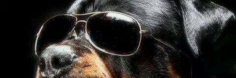 Sazzles3's profile banner image
