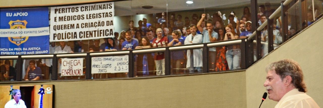 TadeuNicoletti's profile banner image