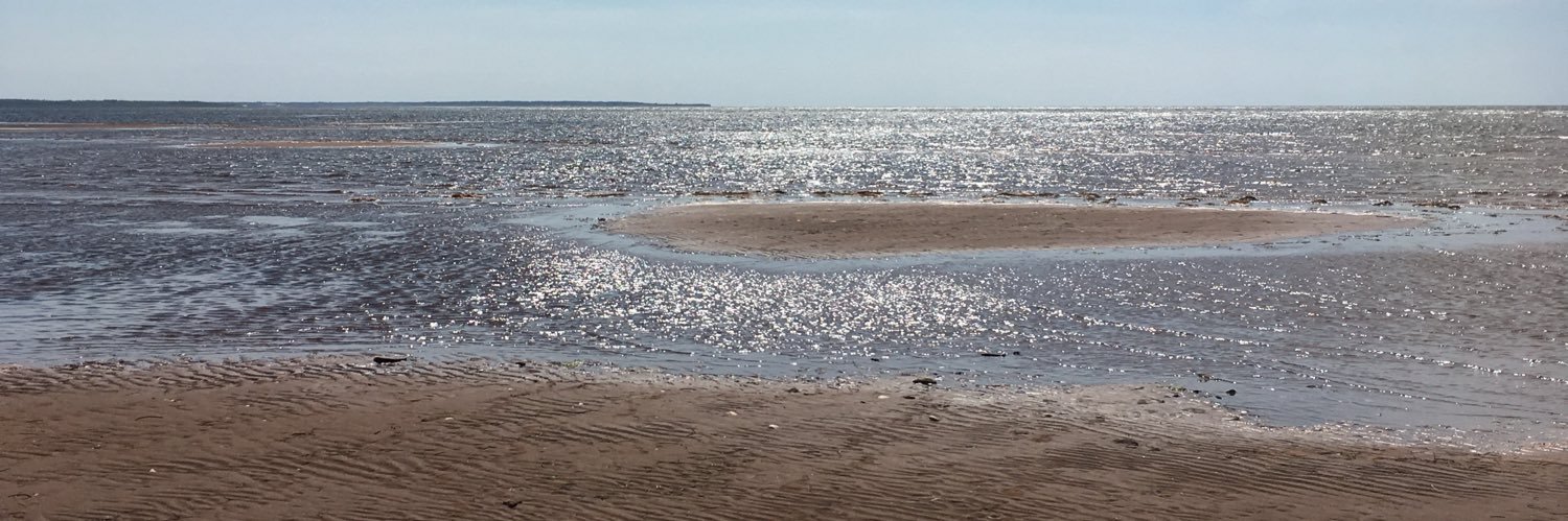 MonArsenault's profile banner image