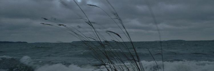 cosmic cookiee banner