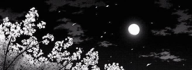samexe71637's profile banner image