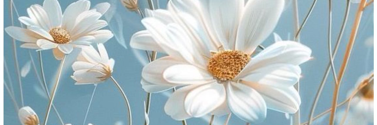 Sunsun Girly 💙's banner