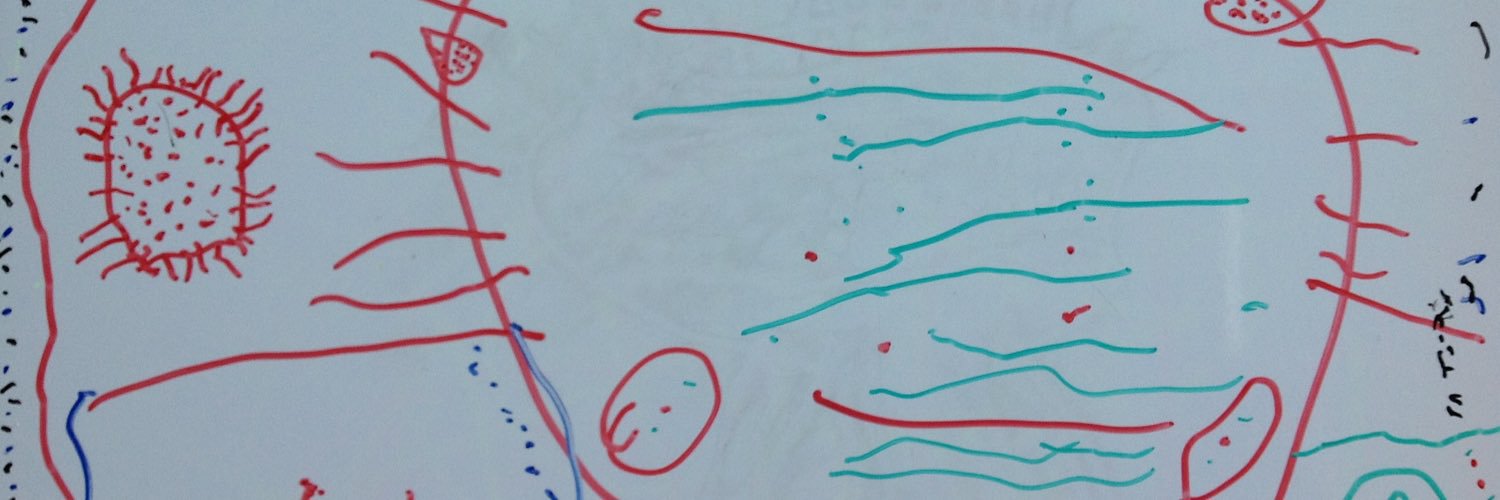 BStrohschein's profile banner image
