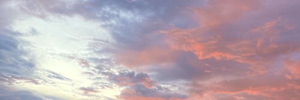 wangly_ Profile Banner