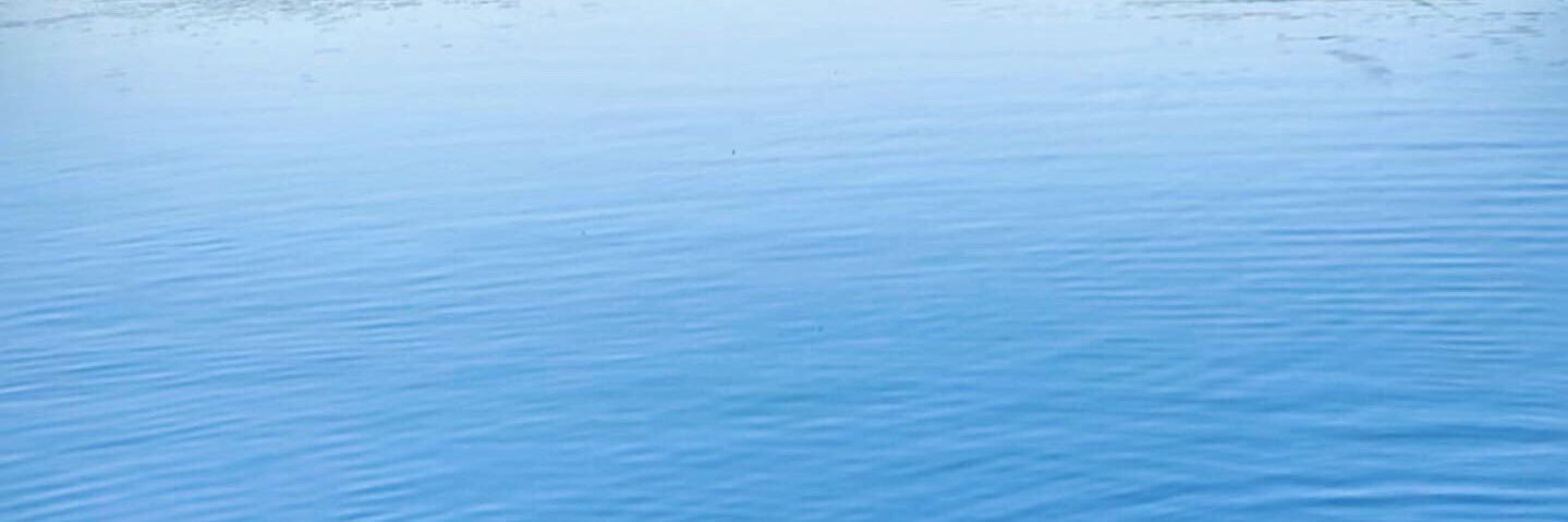 tuncerf's profile banner image