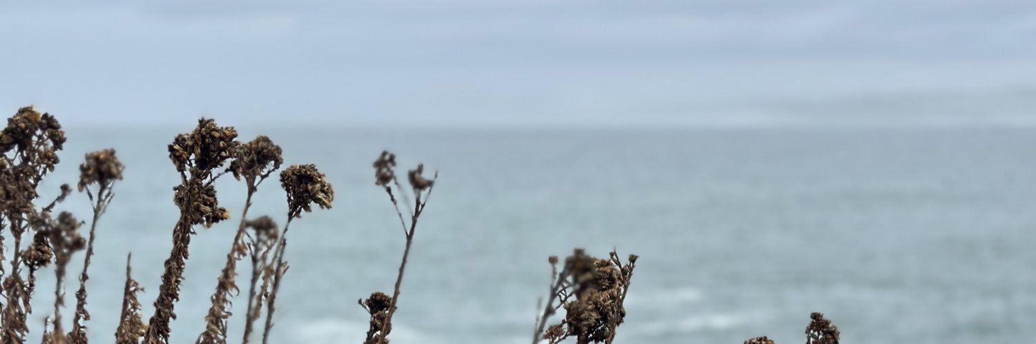 KariiiLauri's profile banner image