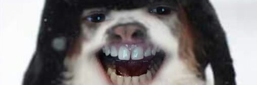 NandovskyLPP's profile banner image